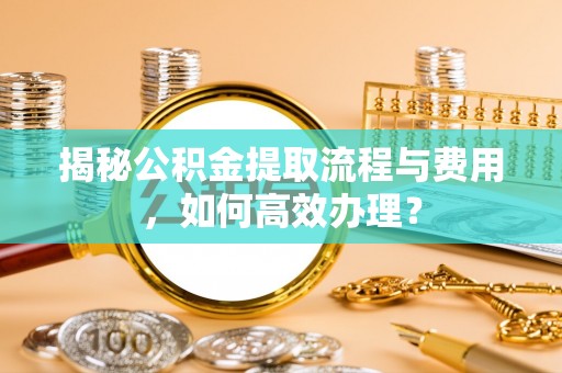 南靖揭秘公积金提取流程与费用，如何高效办理？
