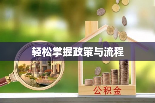 南靖轻松掌握政策与流程