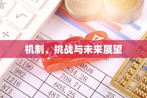 南靖机制、挑战与未来展望