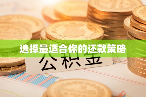 南靖选择最适合你的还款策略