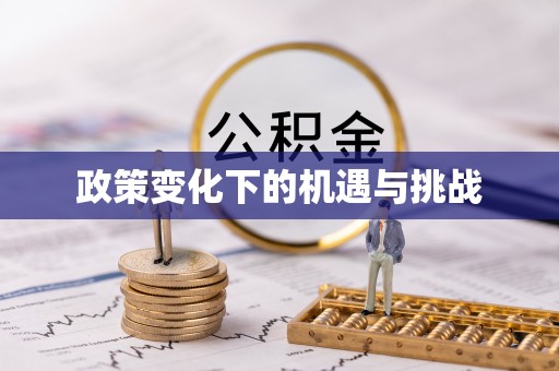 南靖政策变化下的机遇与挑战