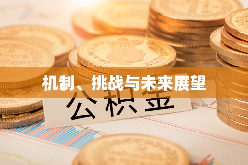 南靖机制、挑战与未来展望