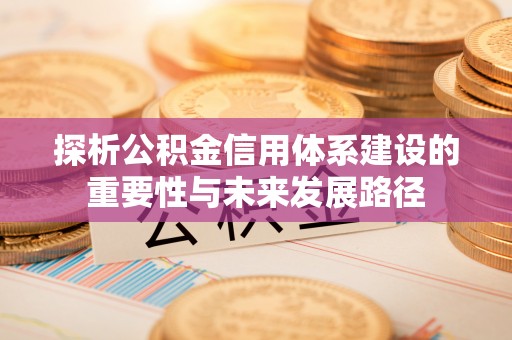 南靖探析公积金信用体系建设的重要性与未来发展路径