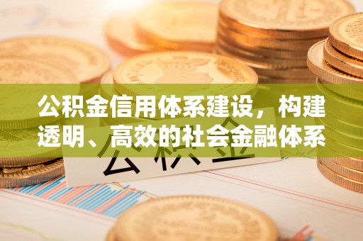 南靖公积金信用体系建设，构建透明、高效的社会金融体系