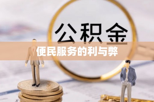 南靖便民服务的利与弊