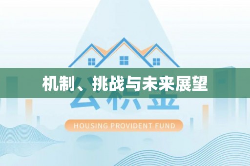 南靖机制、挑战与未来展望